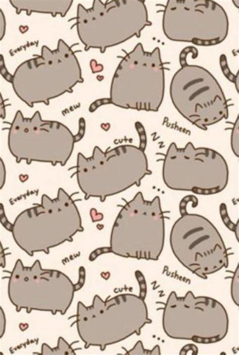 Kawaii Cat Wallpapers - Top Free Kawaii Cat Backgrounds - WallpaperAccess