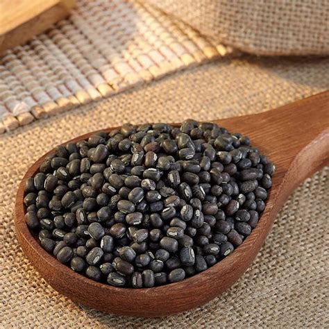 Organic Black Urad Dal Tamil Nadu Packaging Size 1 Kg At Rs 120kg In Chennai