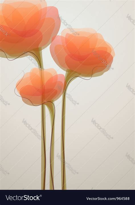 Coral Flowers Royalty Free Vector Image Vectorstock