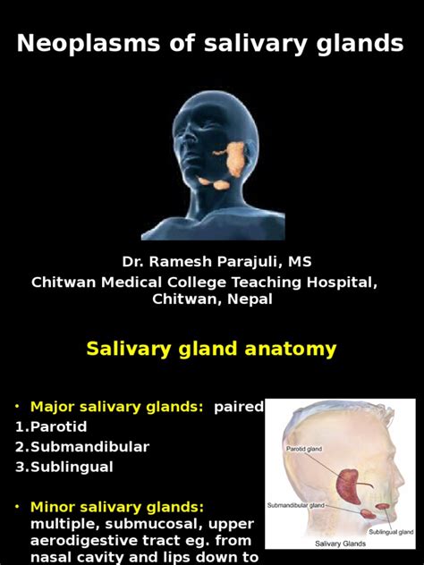 Tumors Of Salivary Glandppt Adenoma Anatomy