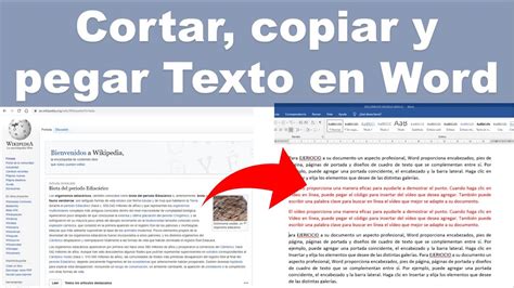 Como Cortar Copiar Y Pegar Texto En Word Youtube