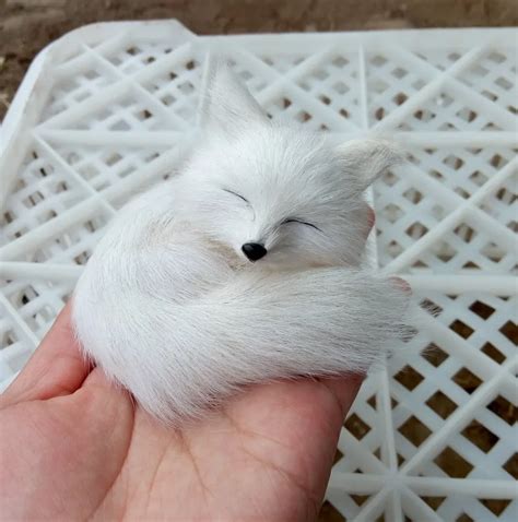 Mini Simulation Sleeping Fox Toy Resinandfur White Fox Doll T About 8