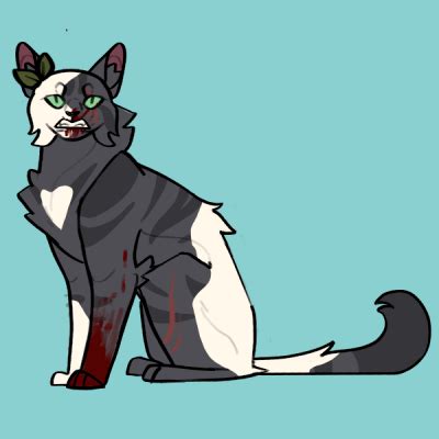 Warrior Cat OC Maker Wip Picrew つくってあそべる画像メーカー