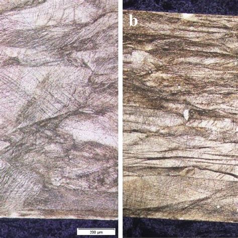 Microstructure Images From Transverse Cross Section Of Ff Specimen At