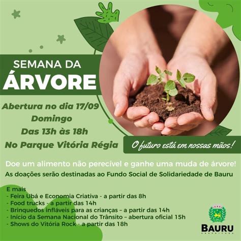 Parque Vit Ria R Gia Ter Diversos Eventos Neste Domingo Abertura