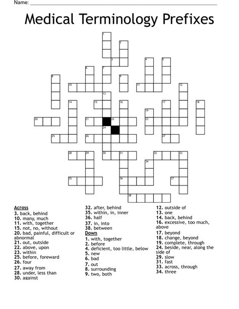 Medical Terminology Prefixes Crossword Wordmint