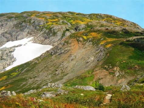 Mt. Roberts – Juneau's Most Popular Summit