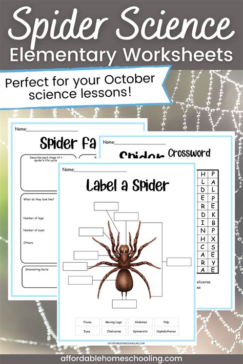 Printable Spider Science Activities for Elementary Grades