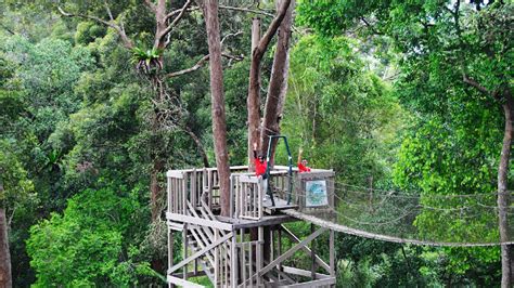 Menikmati Keindahan Alam Di Bukit Bangkirai Destinasi Wisata