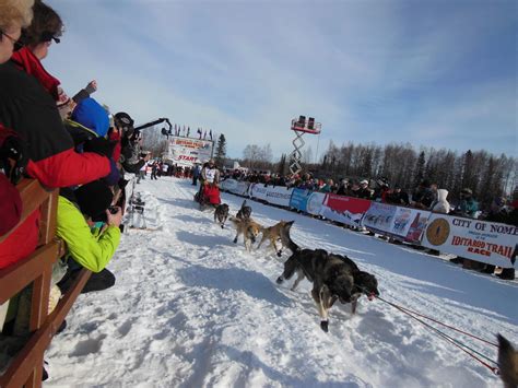 Iditarod Race Sled Dog Race | Alaska Winter Tour | Dogsledding