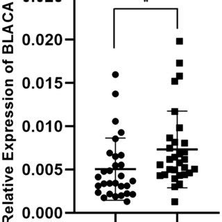 Blacat Expression Is Up Regulated In Ovarian Cancer Tissues Relative