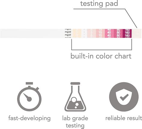 Chroma Keto Ketone Testing Strips - Accurate Urinalysis for Ketosis ...