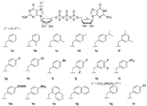 Structures Of Dinucleotide Cap Analogs Synthesized And Studied In This