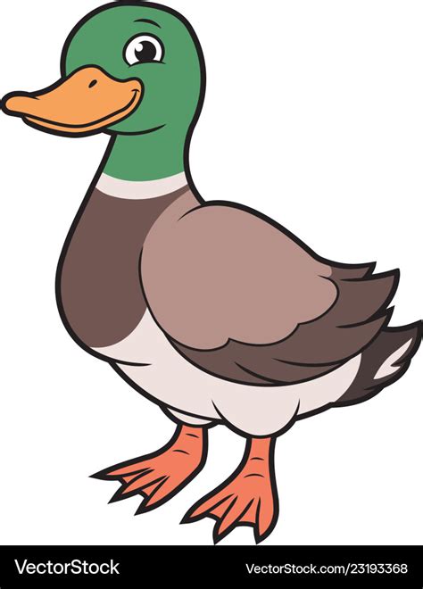 Cartoon Of A Duck Royalty Free Vector Image VectorStock