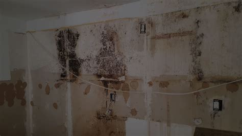 Coral Gables Water Damage Water Damage Restoration Coral Gables Fl