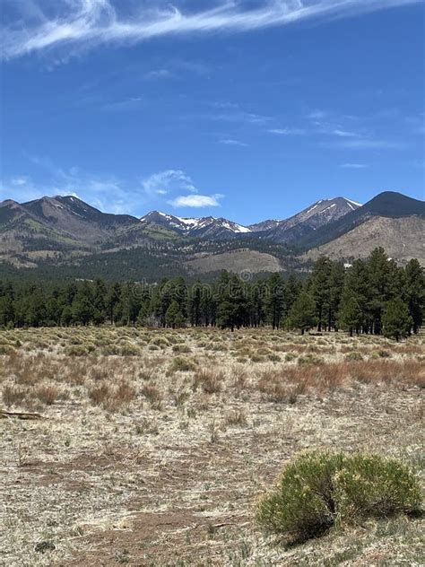 San Francisco Peaks In Flagstaff Arizona Stock Photo Image Of Range