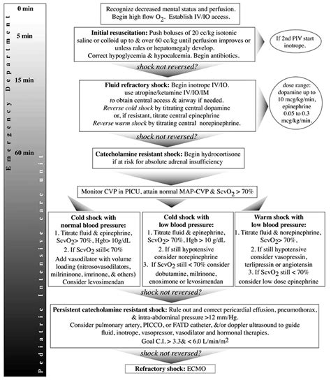 Management Of Paediatric Sepsis Wfsa Resources