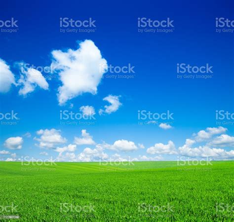 Green Field Stock Photo Download Image Now Agriculture Backgrounds