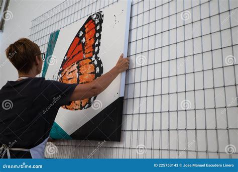 Mature Woman Painter Hanging One Of Her Paintings In Her Studio The