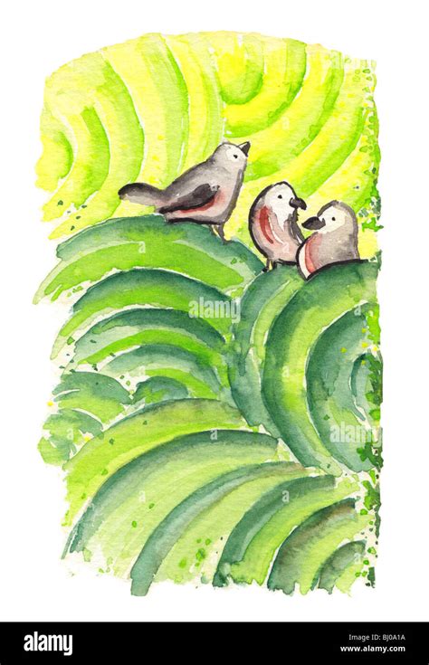 Birds singing in the morning - illustration Stock Photo - Alamy