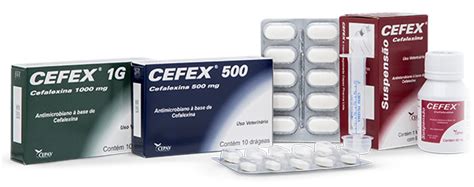 Antimicrobiano Cefex Mg Dr Geas Cepav Agro Aves