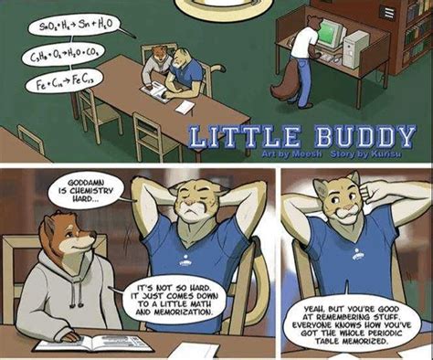 Best Gay Furry Comics Of All Time Gay Friendly