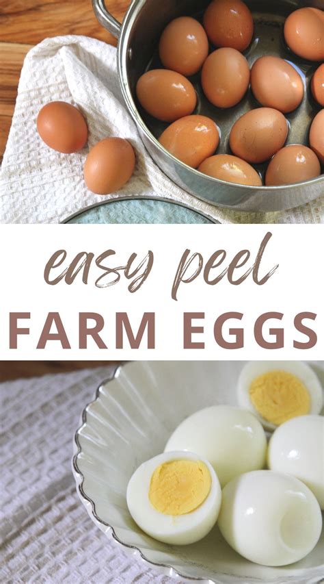 Make Easy Peel Farm Fresh Boiled Eggs • A Traditional Life