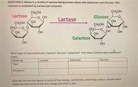 Solved QUESTION 2 Below Is A Model Of Lactose Being Broken Chegg