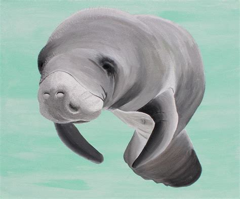 Manatee Acrylic painting Painting by Becky Beisiegel - Pixels