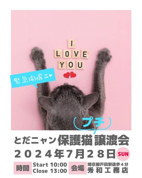 「とだニャン保護猫譲渡会」（とだニャンのイベント 22991） ペットのおうち【里親決定25万頭！】