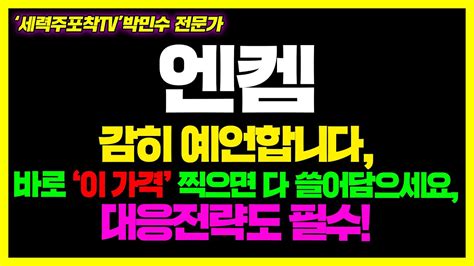 엔켐 초거대세력 8월 추가 매집 진행중 충격적 매수 이유 공개엔켐 전해질 Ira Ampc Feoc 리튬염