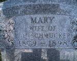 Mary Wyse Schmucker Monumento Find A Grave