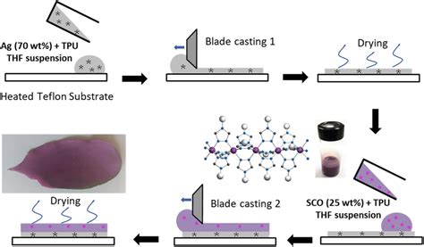 Scheme Of The Blade‐casting Process To Produce The Bilayer Devices