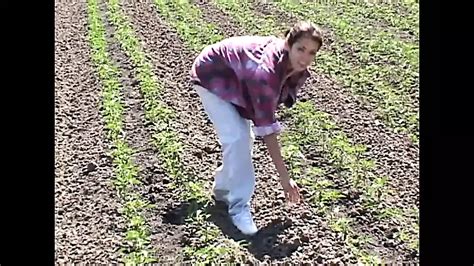 Mexicunts Episode Lesbian Lesbian Porn Feat Angelina Stoli Xhamster