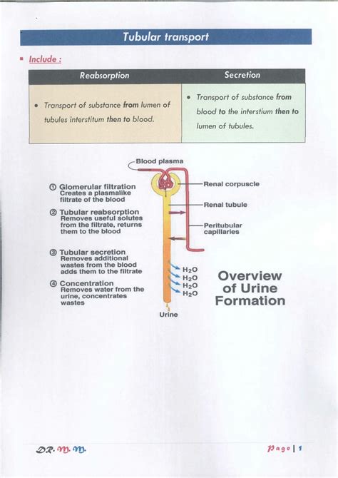 Solution Physiology Renal Tubular Transport Studypool