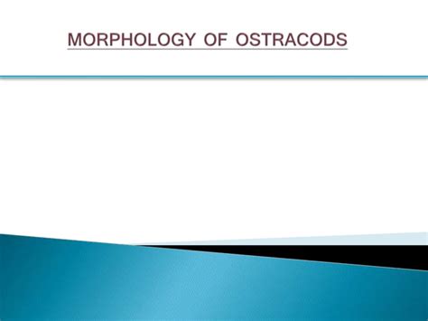 Morphology of ostracods | PPT