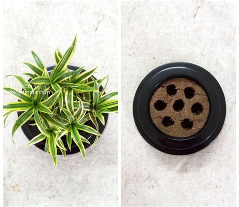 Some Innovative Gardening Products That You Definitely Need