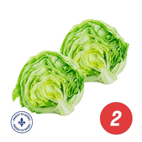 Iceberg Lettuce x3 • Marché CTFO