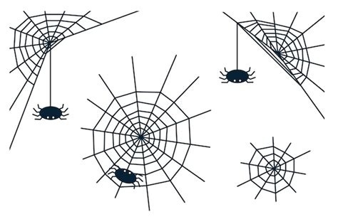 Premium Vector Set Of Halloween Spiders And Webs Black Isolated