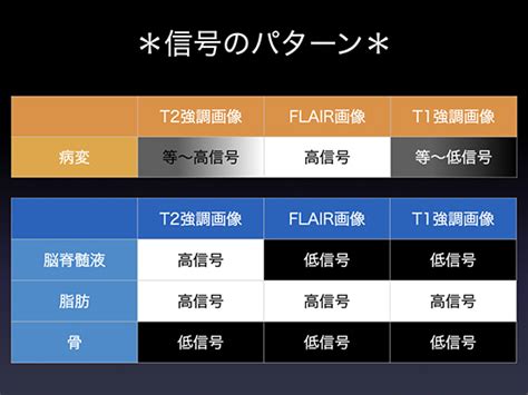 Mriとmraの違いとは？ 検査方法や目的、画像診断の特徴を解説