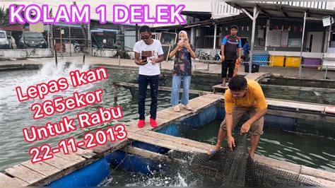 Isnin Lepas Ikan Ekor Untuk Rabu Kolam Delek