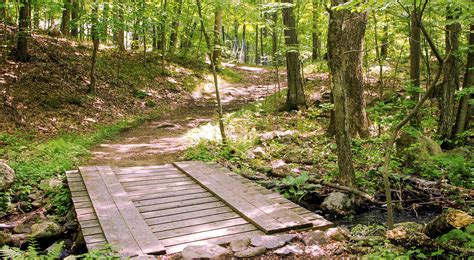 Nature Walks In Connecticut 8