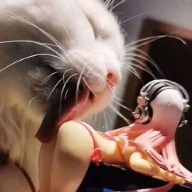 Silent Hill Nurses Halloween Big Tits Porn XHamster