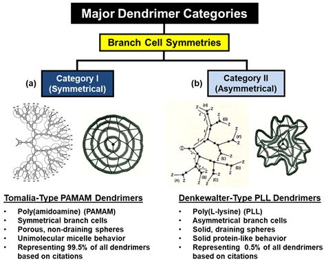 Dendrimers And Other Dendritic Polymers 10