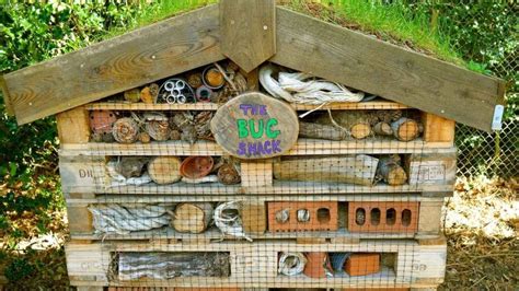 Make A Bug Hotel In Your Garden How Why To Build A Bug Hotel