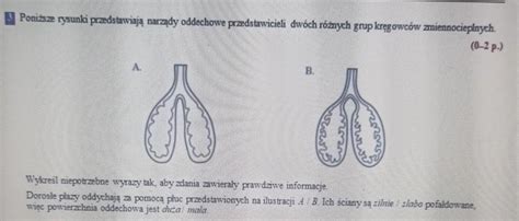 Pls Na Teraz Daje Naj Brainly Pl