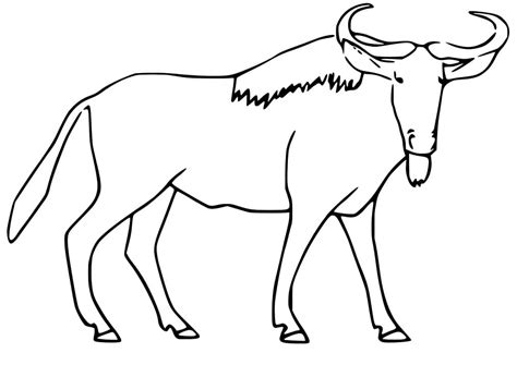 Wildebeest In The Wild Coloring Page Free Printable Coloring Pages