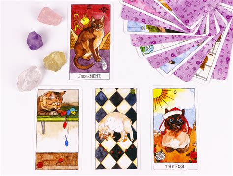 Cute Cat Tarot Deck With Book For Beginners Beautiful Tarot Etsy