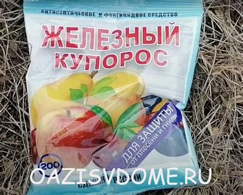 Железный купорос как развести, когда и как обработать им сад весной ...