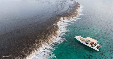 Waterfall Reef Sea Safari In Cygnet Bay Klook